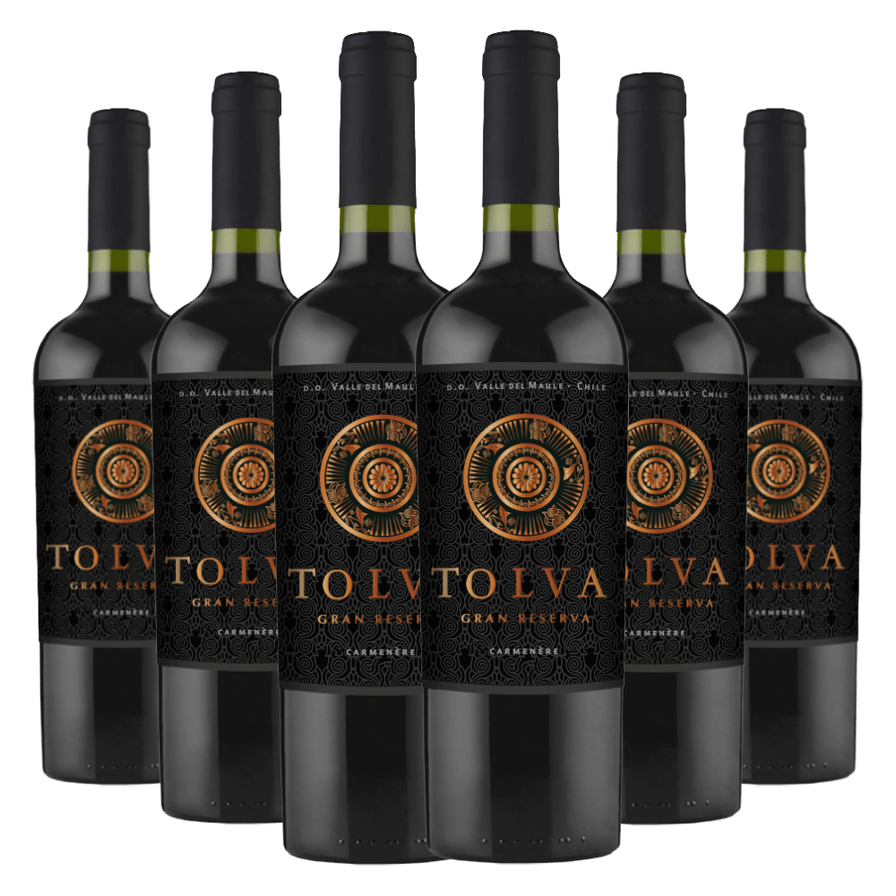 Kit Caixa Fechada 6 Garrafas Vinho Tolva Gran Reserva Carménère