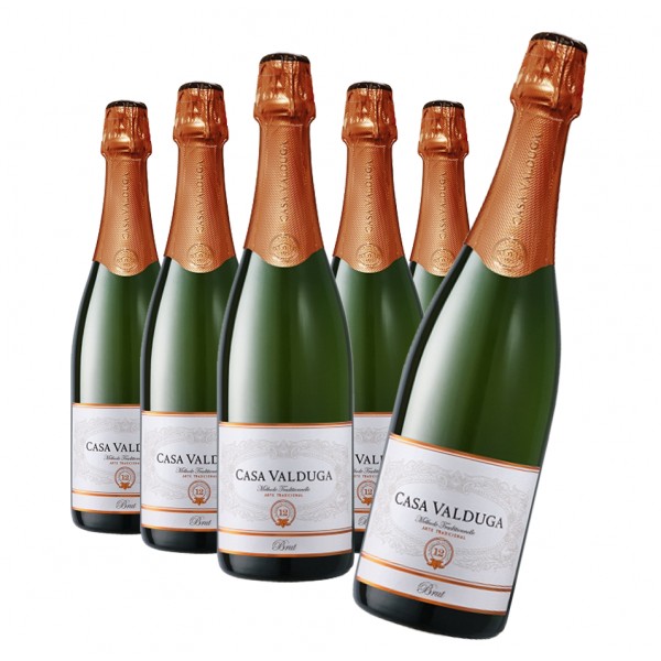 Pack 6 Espumantes Casa Valduga Arte Tradicional Brut 750ml