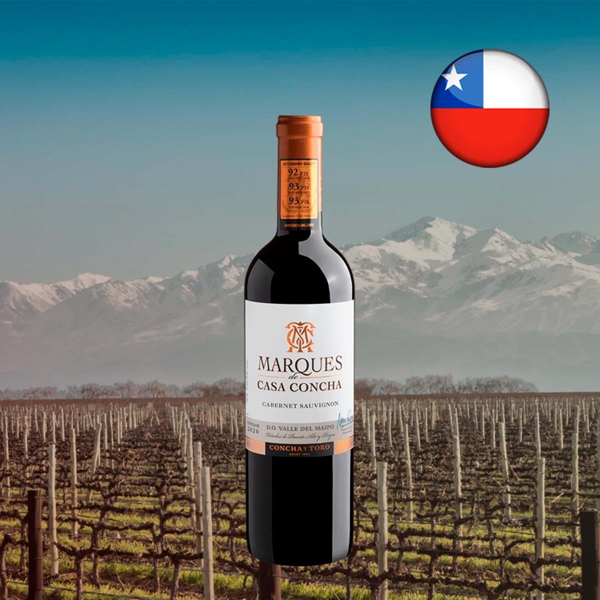 Cabernet Sauvignon Chileno 2020