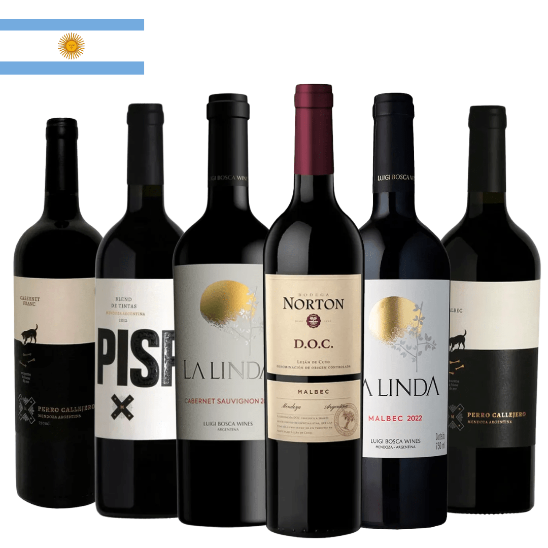 Combo 6 Tintos Argentinos até R$100