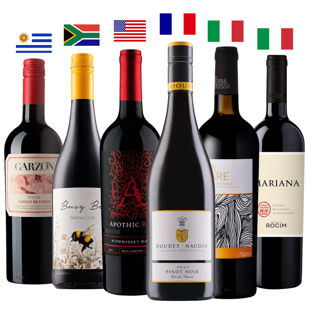 Combo Evoluir no Mundo dos Vinhos 6 Garrafas